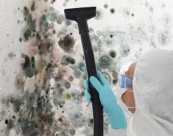 Best Environmental Consulting for Mold Prevention  in Carle Place, NY